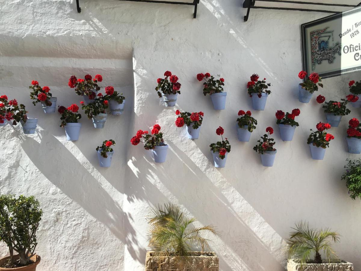 Apartament Paris Fashion - Torremolinos Zewnętrze zdjęcie